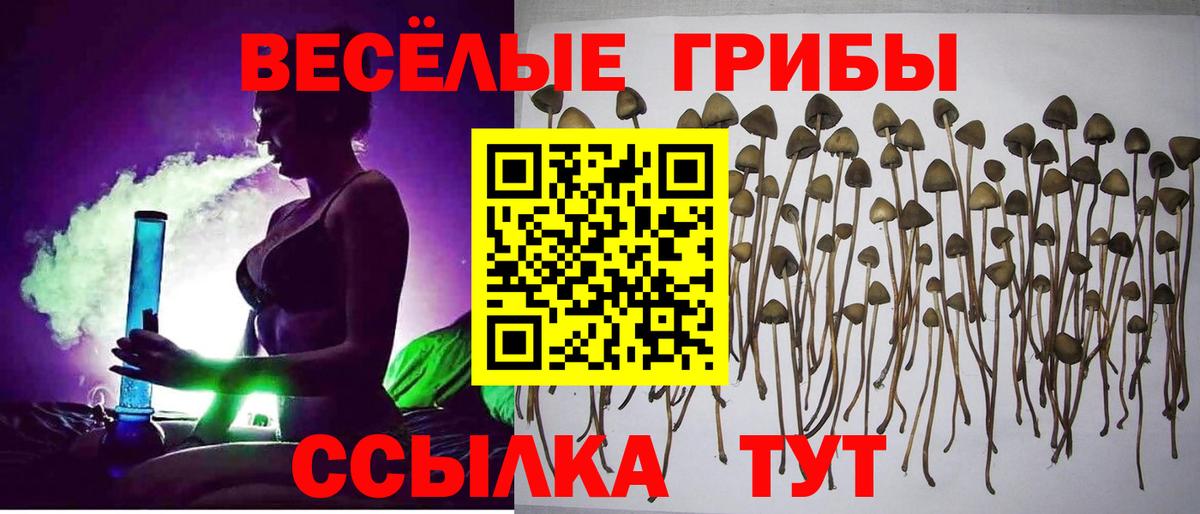 Галлюциногенные грибы прущие грибы  Вход с VPN  Галлюциногенные грибы Cubensis  Благодарный 