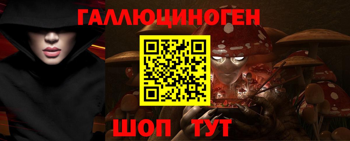 Псилоцибиновые грибы GOLDEN TEACHER Благодарный